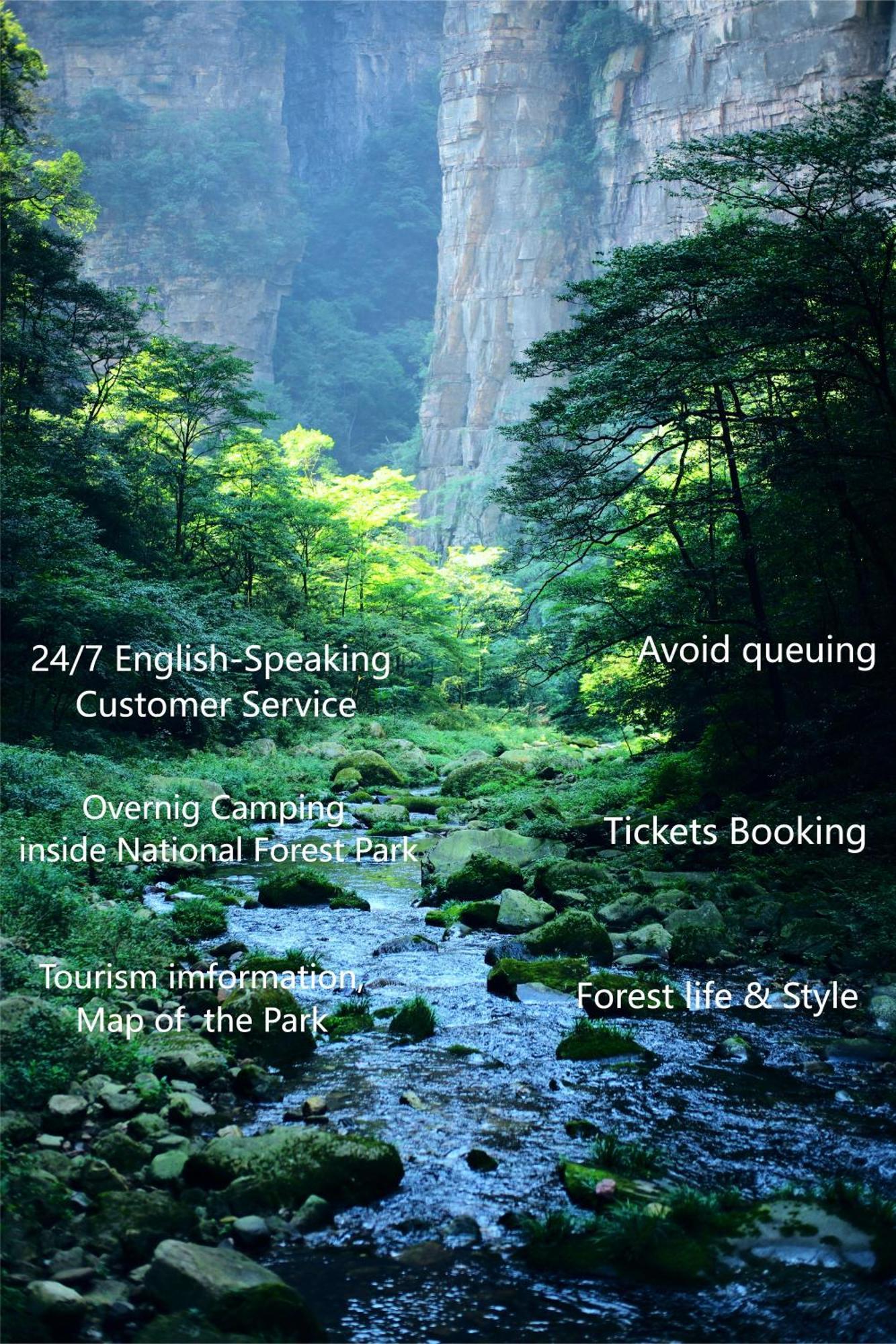 Zhangjiajie National Forest Park Camping Exteriör bild