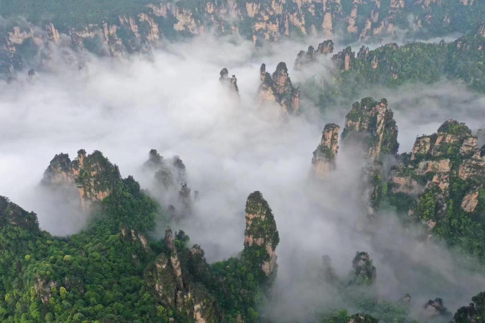 Zhangjiajie National Forest Park Camping Exteriör bild