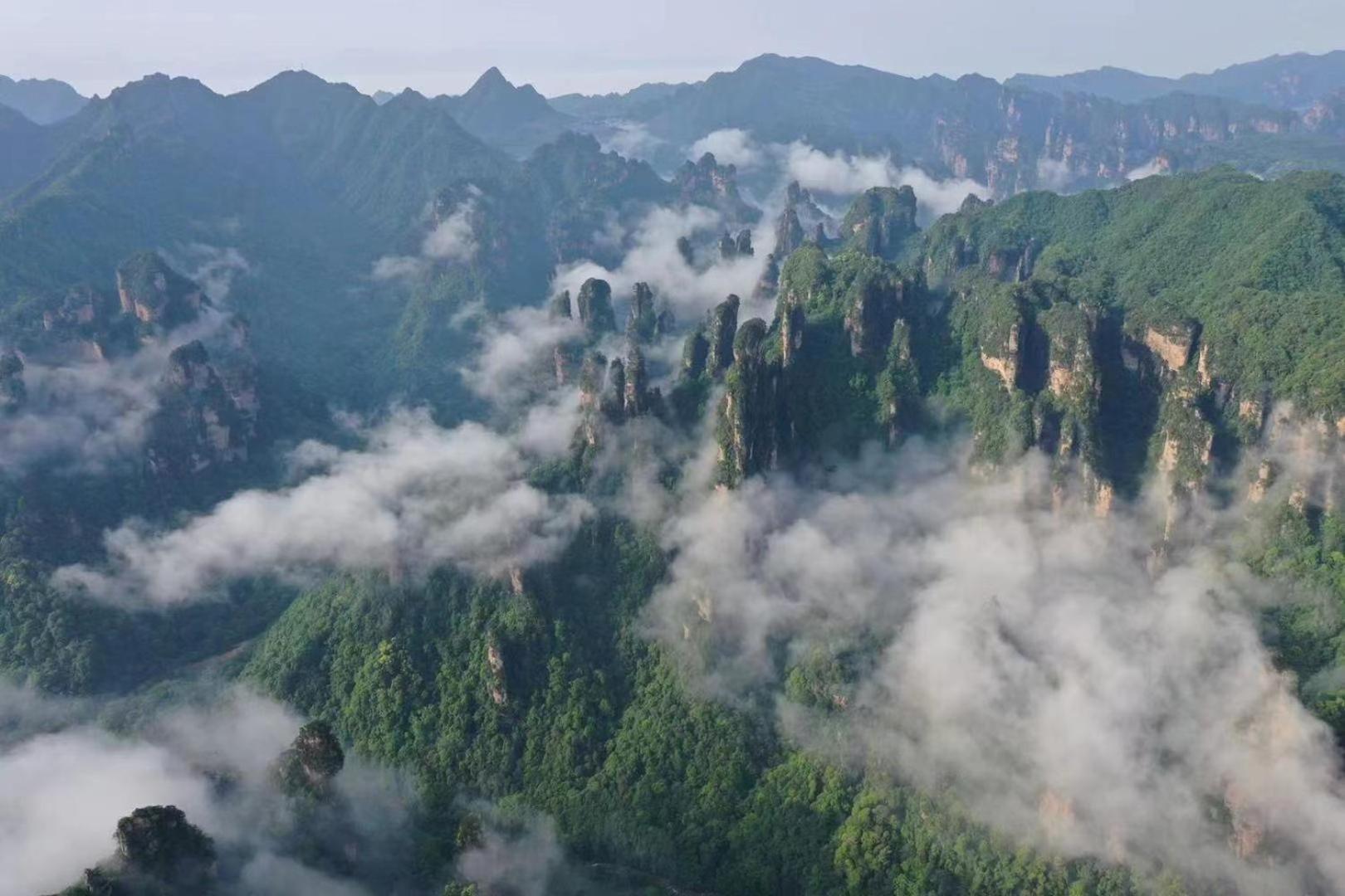 Zhangjiajie National Forest Park Camping Exteriör bild